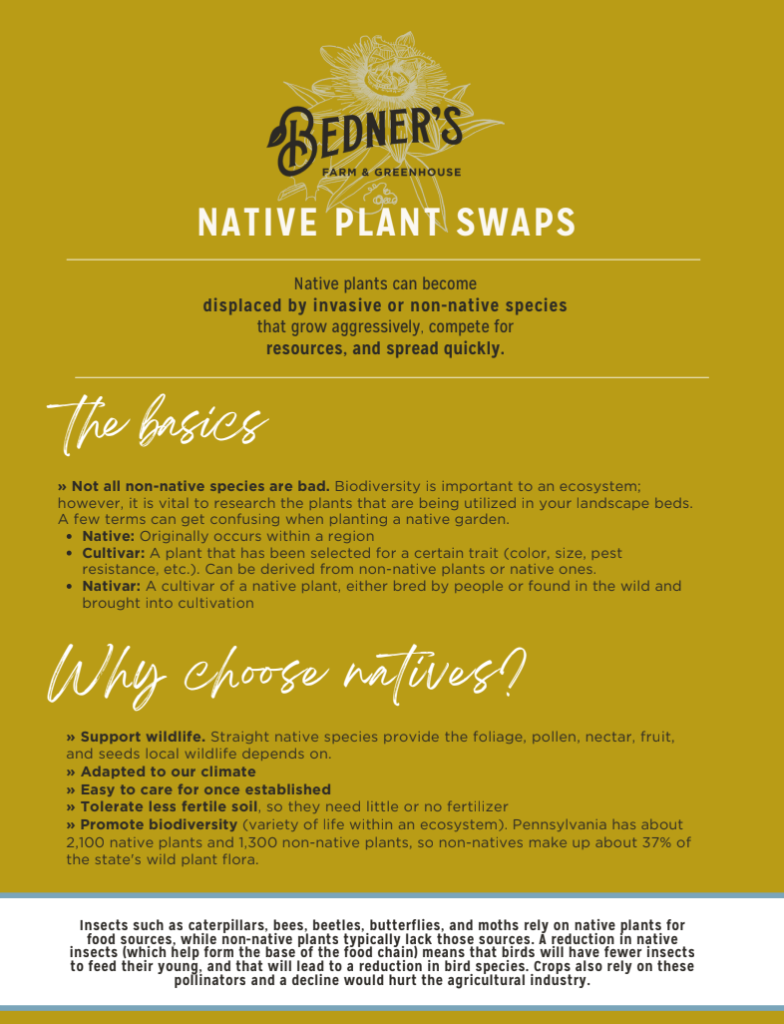 A guide to native plant swaps